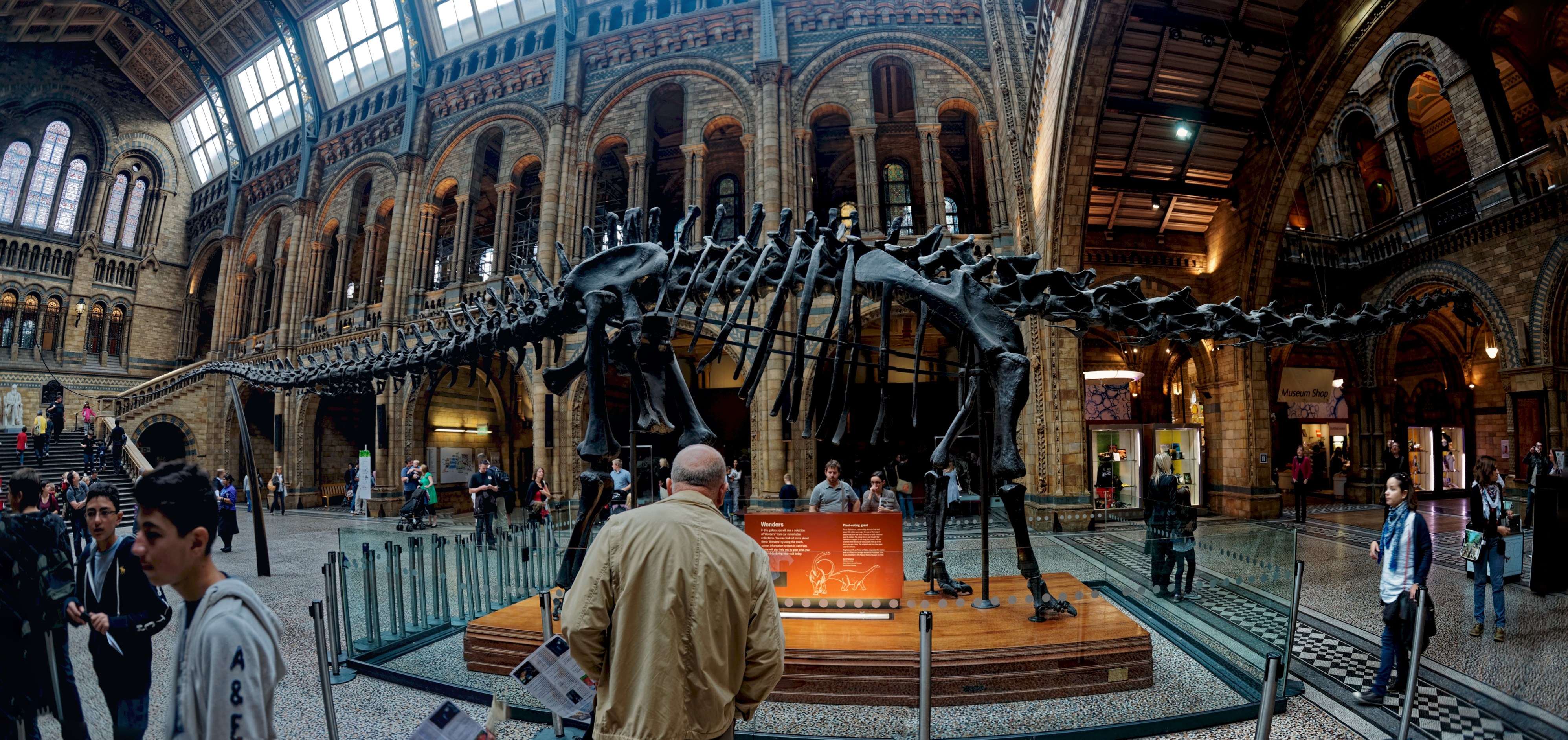 Natural History Museum, London
